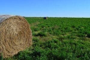 שינוי ייעוד של קרקע חקלאית